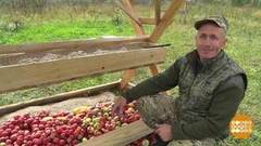 Соль — косулям, яблоки — кабанам! Доброе утро. Фрагмент выпуска от 17.09.2020