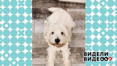 Видели видео? Анонс