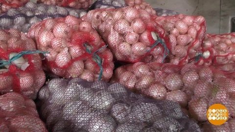 Сплошное луковое счастье! Доброе утро. Суббота. Фрагмент выпуска от 19.09.2020