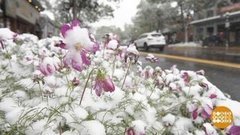 В мире. Снег в Колорадо. Доброе утро. Фрагмент выпуска от 21.09.2020