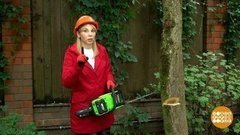 Пора валить! Дерево. Доброе утро. Фрагмент выпуска от 21.09.2020