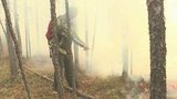 В Магадане и окрестностях полыхает 50 гектаров леса