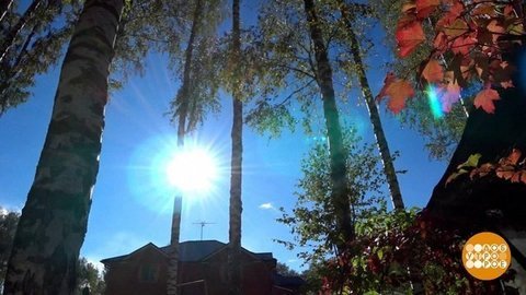 Осеннее равноденствие. Незаметное чудо. Доброе утро. Фрагмент выпуска от 22.09.2020