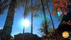 Осеннее равноденствие. Незаметное чудо. Доброе утро. Фрагмент выпуска от 22.09.2020