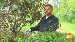 «Стрижка» для сада. Доброе утро. Фрагмент выпуска от 25.09.2020