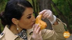 Ах, эти ножки! Ах, окорочка! Доброе утро. Фрагмент выпуска от 12.10.2020