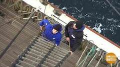 Барк «Седов»: свистать всех наверх! Доброе утро. Фрагмент выпуска от 13.10.2020