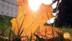 Где ты, витамин D? Доброе утро. Фрагмент выпуска от 14.10.2020