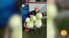 Возраст — не повод скучать! Доброе утро. Фрагмент