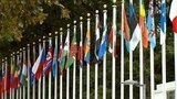 СБ ООН обсудил предложенные Москвой меры, которые помогут контролировать соблюдение режима прекращения огня в Нагорном Карабахе