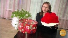 Помпон – значит великолепный! Доброе утро. Суббота. Фрагмент