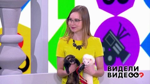 Видели видео?