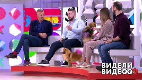 Самый расслабленный папа, секреты работы зоопсихолога, суперфитнес для молодых мам. Видели видео?
