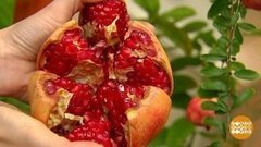 Гранат. Просто король! Доброе утро. Суббота. Фрагмент