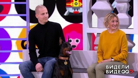 Видели видео? Часть 2
