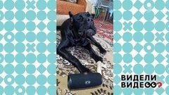 Видели видео?