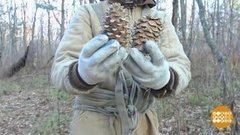 Время собирать шишки. Доброе утро. Фрагмент