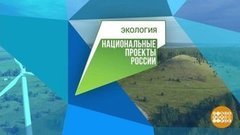 Полиэтиленовые пакеты: что вместо? Доброе утро. Фрагмент