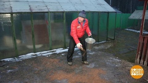 Гололед. Дмитрий Талабуев любит погорячее. Доброе утро. Фрагмент