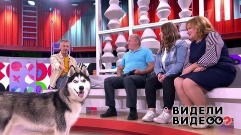 Видели видео? Часть 1