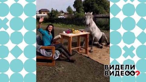 Лошадь обедает с хозяйкой. Видели видео? Фрагмент