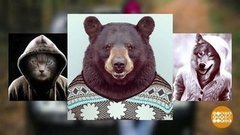 Аватарка, я тебя знаю! Доброе утро. Фрагмент