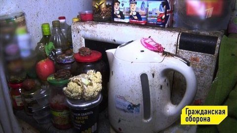 Гражданская оборона. Анонс