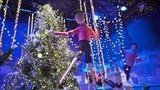 В преддверии Рождества в Европе ослабляют карантин в попытках реанимировать экономку