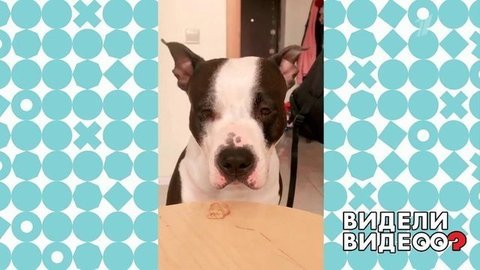 Видели видео? Анонс