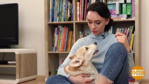 Перевод с собачьего и кошачьего. Доброе утро. Фрагмент