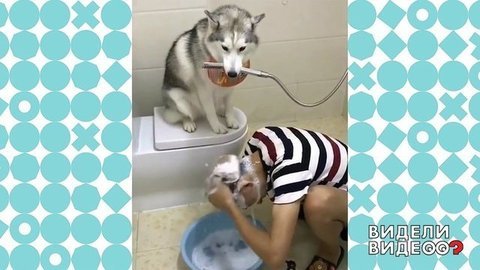 Видели видео?