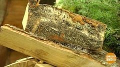 Топливные брикеты против дров. Доброе утро. Фрагмент