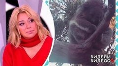 Несекретные материалы Алены Апиной. Видели видео? Фрагмент