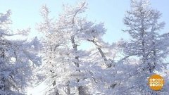 Такая красивая зима. Доброе утро. Суббота. Фрагмент