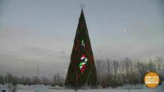 Чья елка — самая-самая? Доброе утро. Фрагмент