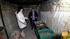 Что там, в дачных закромах? Доброе утро. Фрагмент