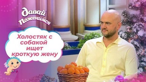 Выживший с собакой. Давай поженимся!
