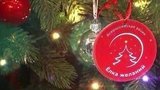 Еще одна мечта исполнилась благодаря всероссийской акции «Елка желаний»
