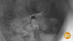 Сын Кометы и Айона. Доброе утро. Фрагмент