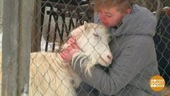 А теперь — обнимашки! Доброе утро. Фрагмент