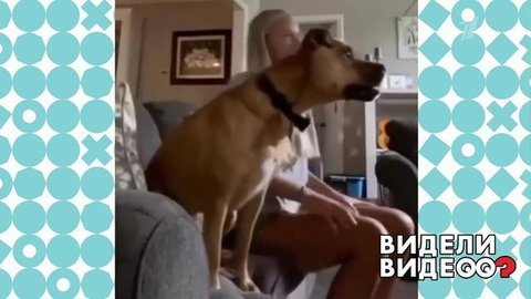 Видели видео?