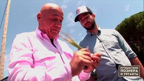 "Хоть накормили Познера". Их Италия. Путешествия Познера и Урганта