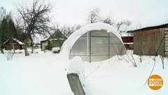 Сад-огород: февральские заботы. Доброе утро. Фрагмент