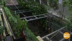 Биовегетарий: вырастет все! Доброе утро. Фрагмент