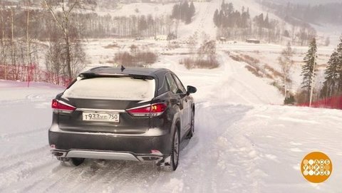 Умный в гору не пойдет! Он в гору поедет! Доброе утро. Фрагмент