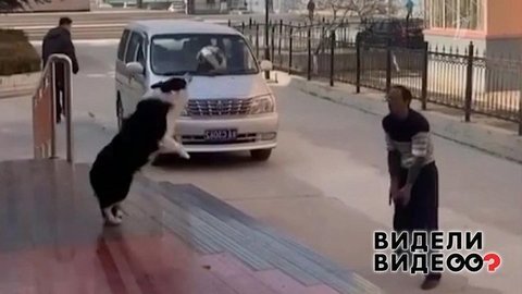 Видели видео?