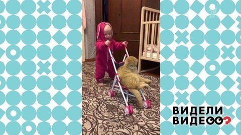 Видели видео?