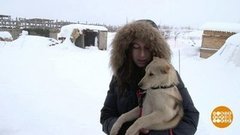 Спасите зверей! Доброе утро. Суббота. Фрагмент