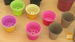 Горшки для рассады: пластмасса или торф? Доброе утро. Фрагмент