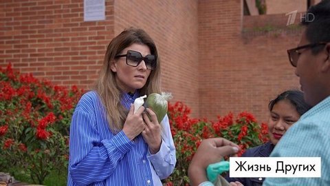 Богота. Жизнь других. Лучшие моменты